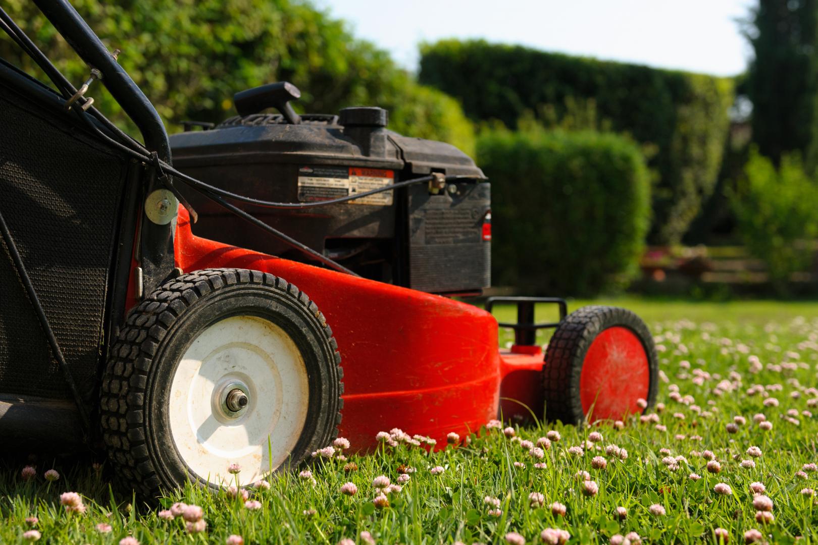 Lawn Mowing Service Melbourne Northern Suburbs