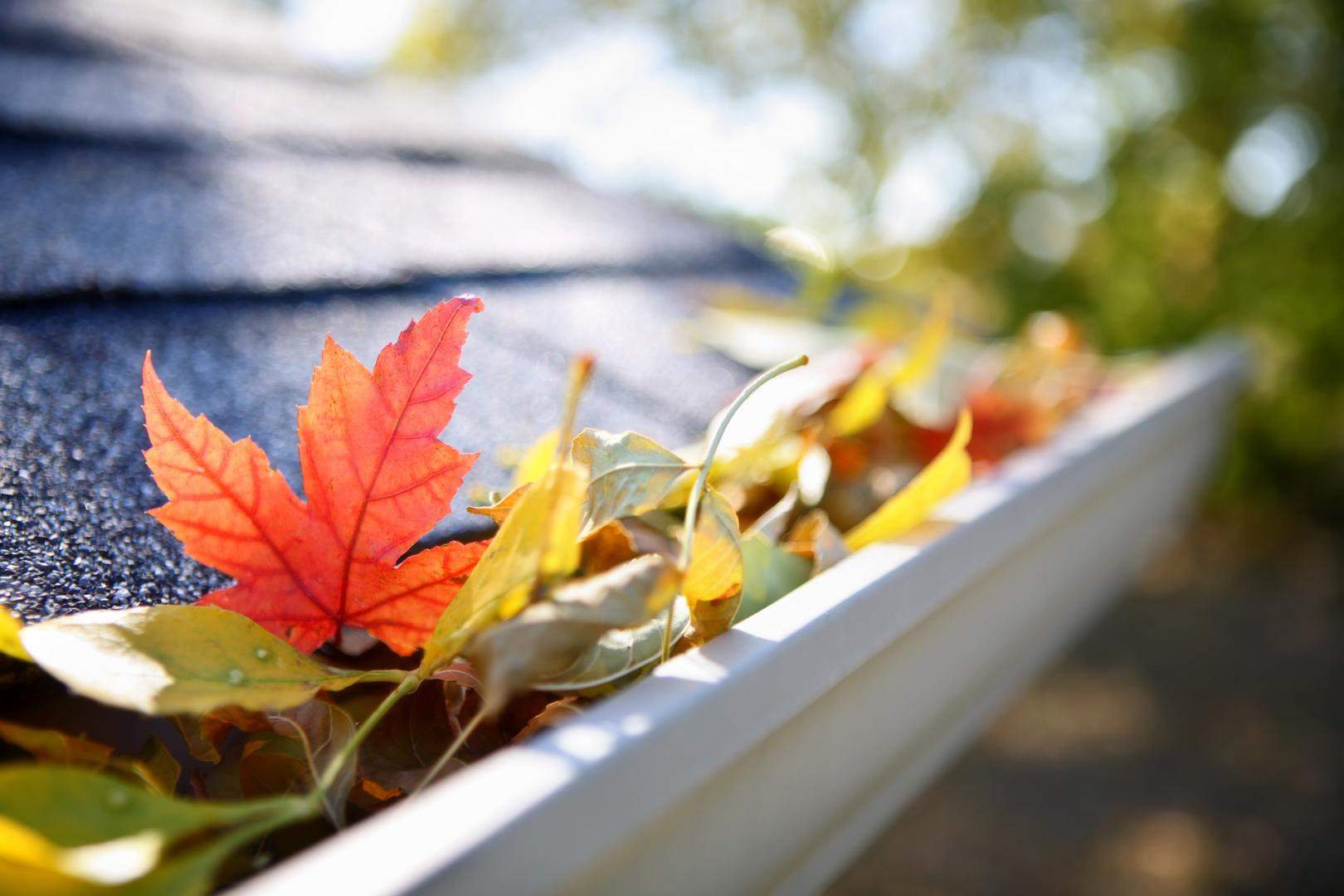 Gutter Cleaning Services Melbourne Northern Suburbs