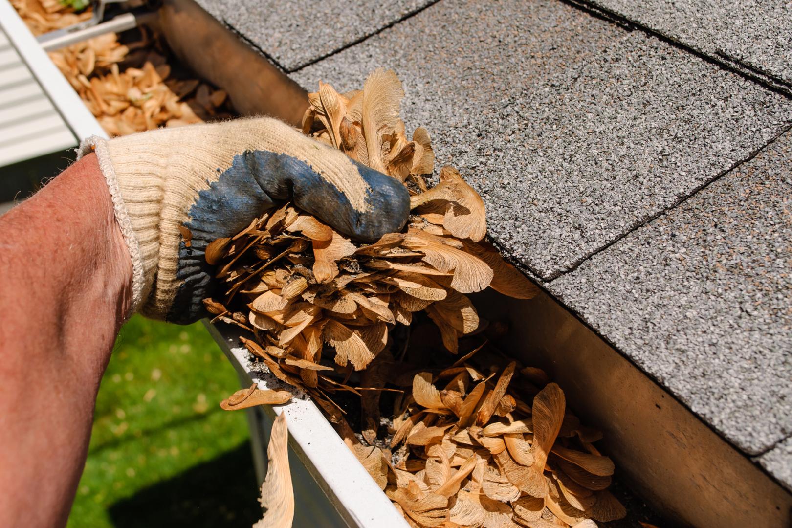 Gutter Cleaning Services Melbourne Northern Suburbs