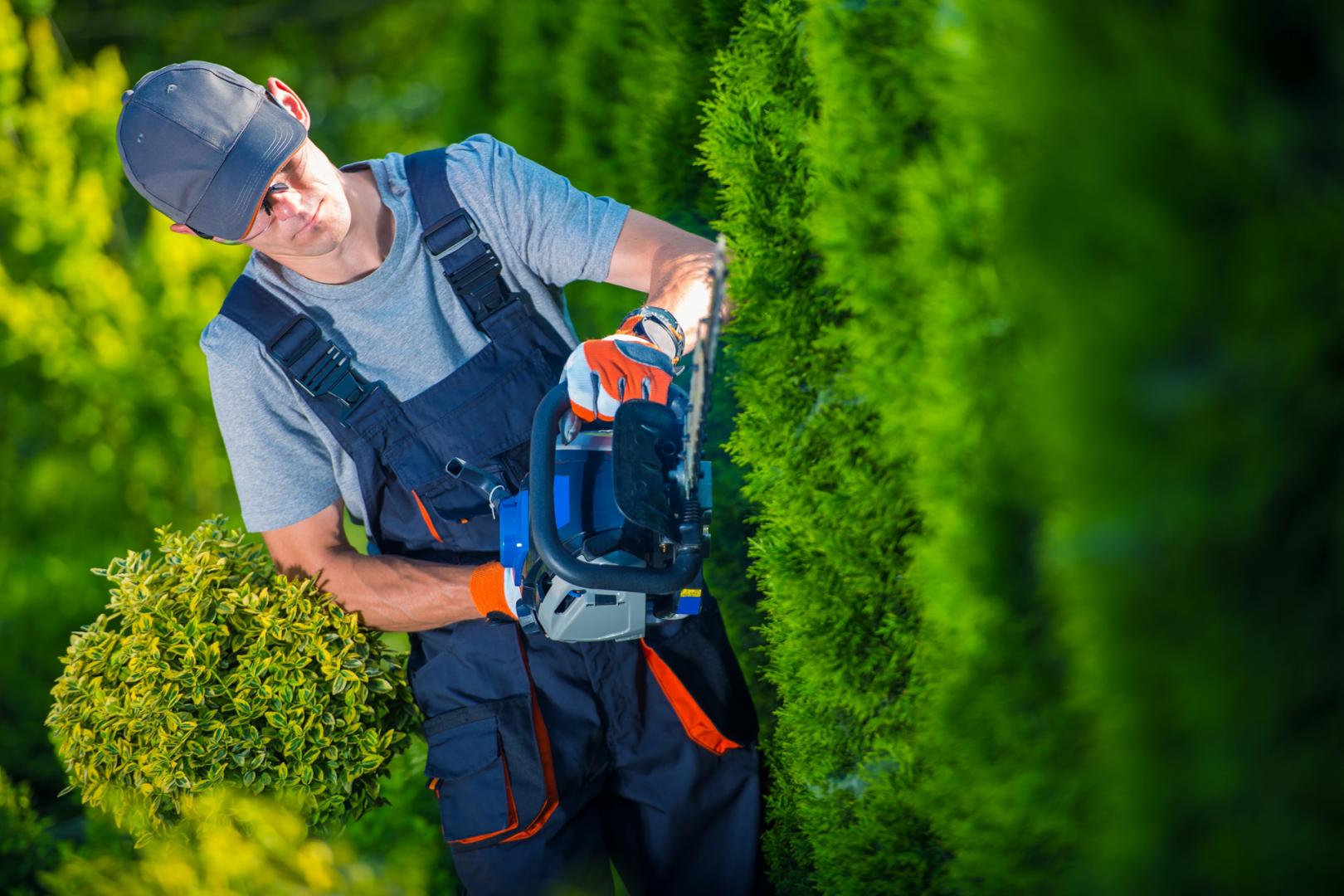 Hedge Trimming & Pruning Melbourne Northern Suburbs
